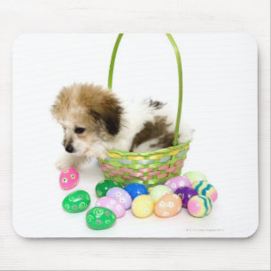 A mixed breed puppy sitting in an Easter basket Mouse Mat