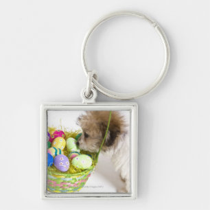 A mixed breed puppy sniffing at an Easter basket Key Ring