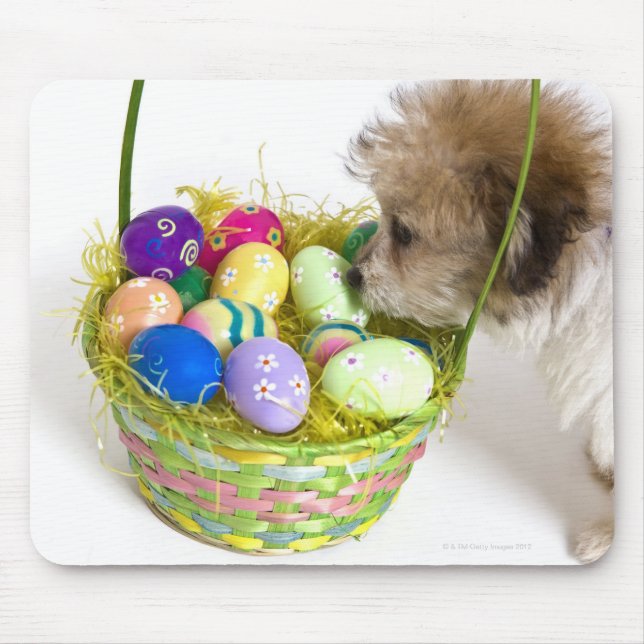 A mixed breed puppy sniffing at an Easter basket Mouse Mat (Front)