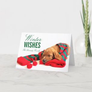 A mixed Vizsla puppy Holiday Card