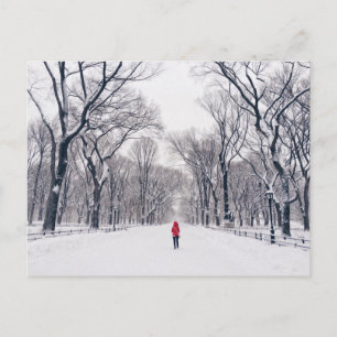 A Modern Little Red Riding Hood in Central Park Postcard