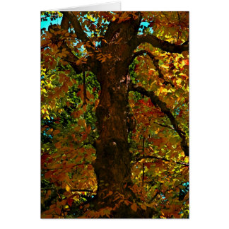 A Moment in Time