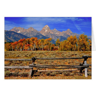 A Moment in Wyoming in Autumn