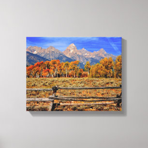 A Moment in Wyoming in Autumn Canvas Print
