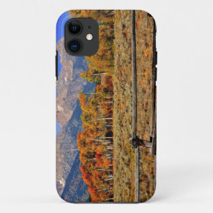 A Moment in Wyoming in Autumn iPhone 11 Case