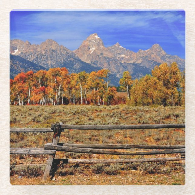 A Moment in Wyoming in Autumn Glass Coaster (Front)