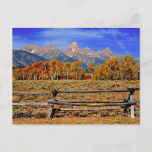 A Moment in Wyoming in Autumn Postcard