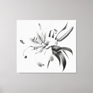 A Moment of Bloom Lily Pencil Sketch Charcoal Canvas Print