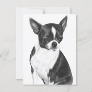 A Moment of Calm - Hand Painted Chihuahua Portrait Postcard