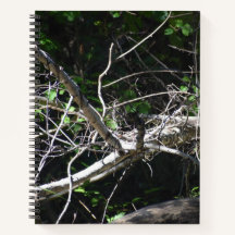 A moment of Light Spiral Notebook