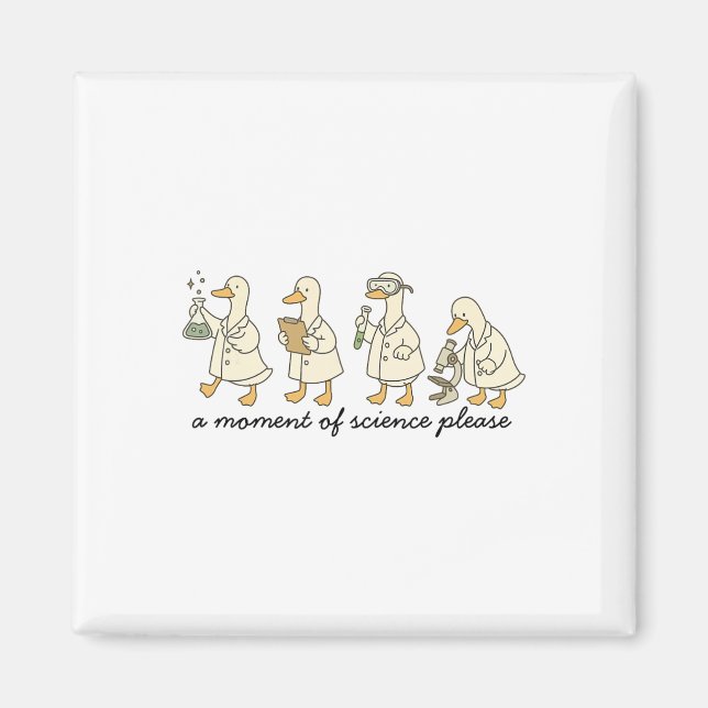 A Moment Of Science Please Funny Science Teacher S Magnet (Front)