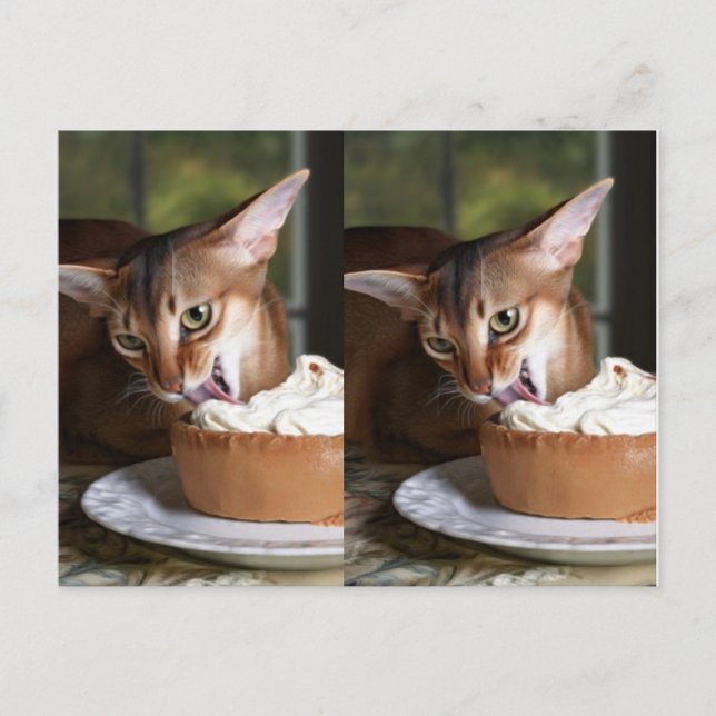 A Moment of Sweet Stillness – Art Postcard (Front)