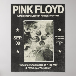 A Momentary Lapse In Reason Tour Poster