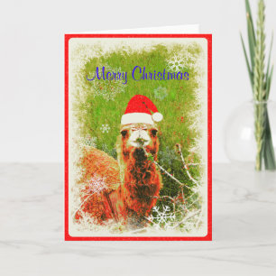 A "Mona the Camel" Holiday Card