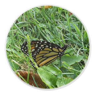A Monarch Butterfly Ceramic Knob