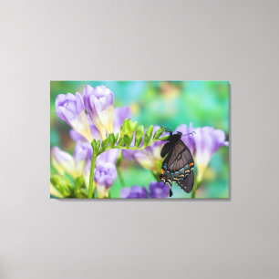 A Monarch Butterfly   Danaus Plexippus Canvas Print