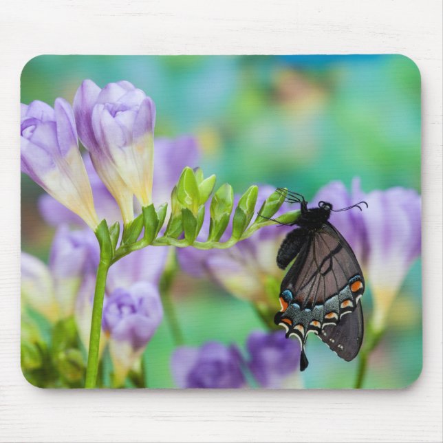 A Monarch Butterfly | Danaus Plexippus Mouse Mat (Front)