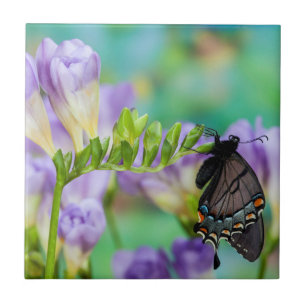 A Monarch Butterfly Danaus Plexippus Tile