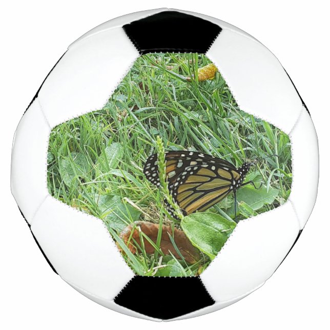 A Monarch butterfly  Football (Front)