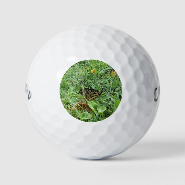 A Monarch Butterfly  Golf Balls (Front)