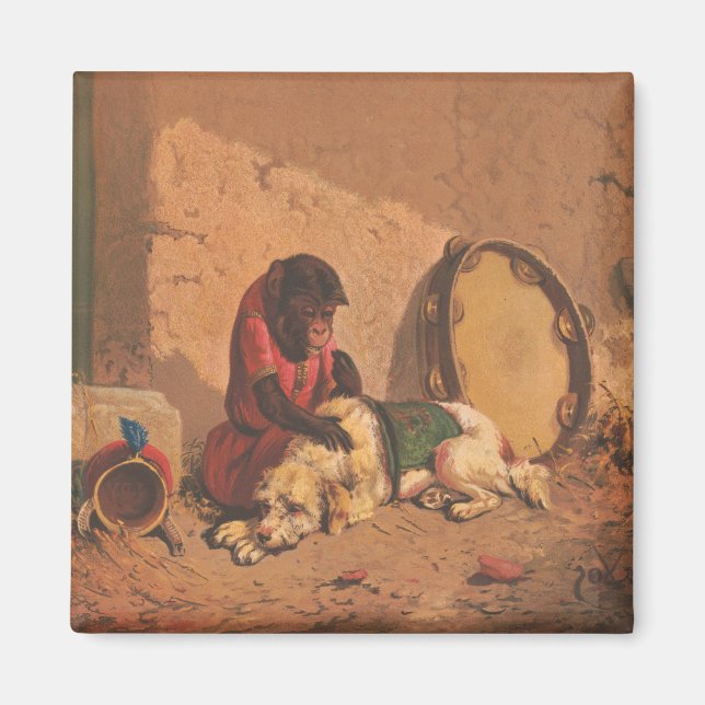 A Monkey And A Dog With A Large Tambourine Magnet (Front)