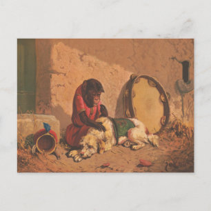 A Monkey And A Dog With A Large Tambourine Postcard