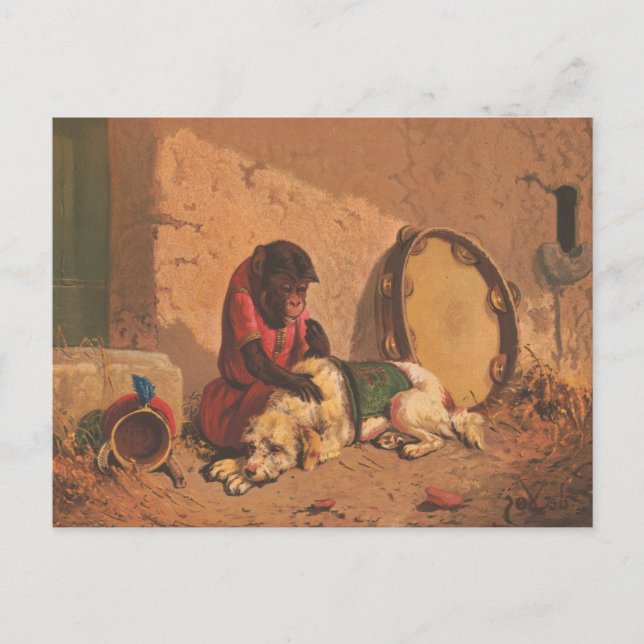 A Monkey And A Dog With A Large Tambourine Postcard (Front)