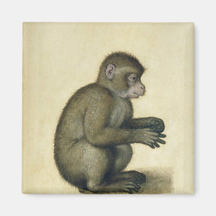 A Monkey Magnet