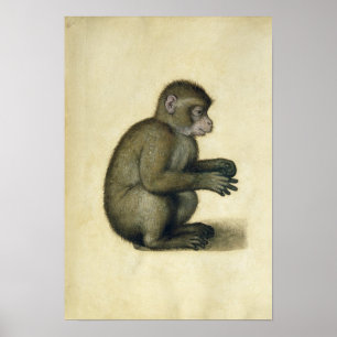 A Monkey Poster