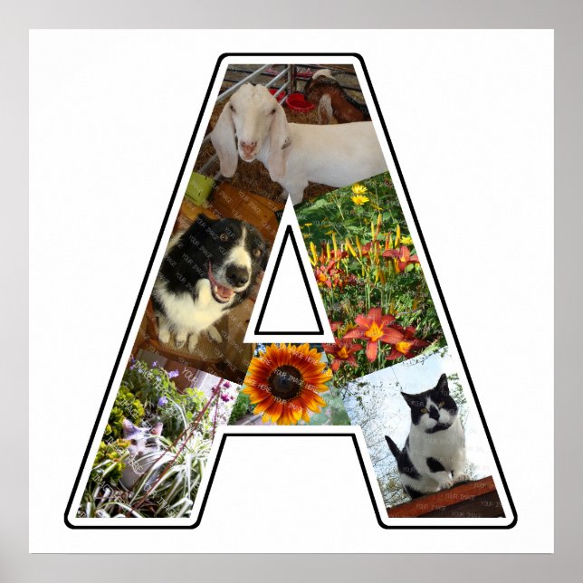 A Monogram Create Your Own 6 Custom Photo Collage Poster (Front)