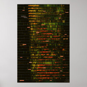 A Month of Yellowstone Sounds Poster