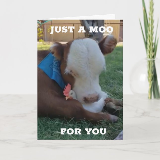 A MOO AND A WISH FOR "YOUR BIRTHDAY" CARD (Front)