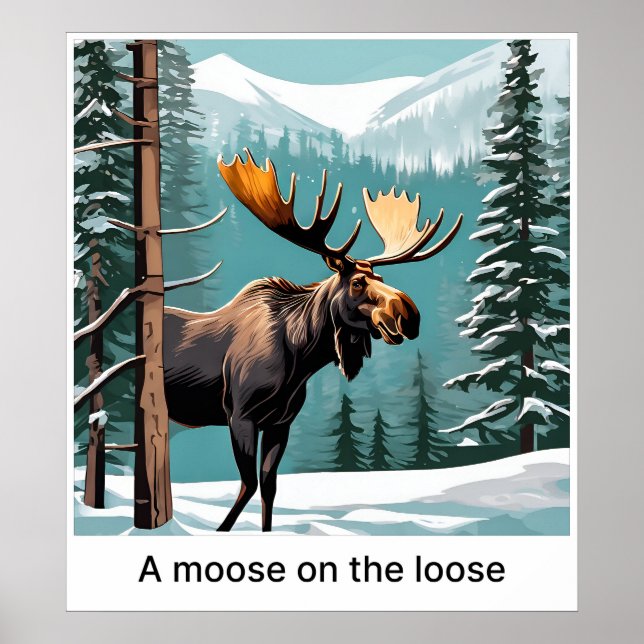 A Moose On The Loose - Print (Front)