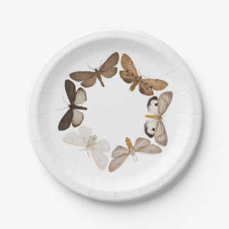 A moth plate