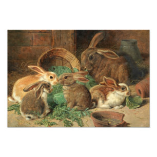 A Mother Rabbit and her Young by Alfred Barber Photo Print