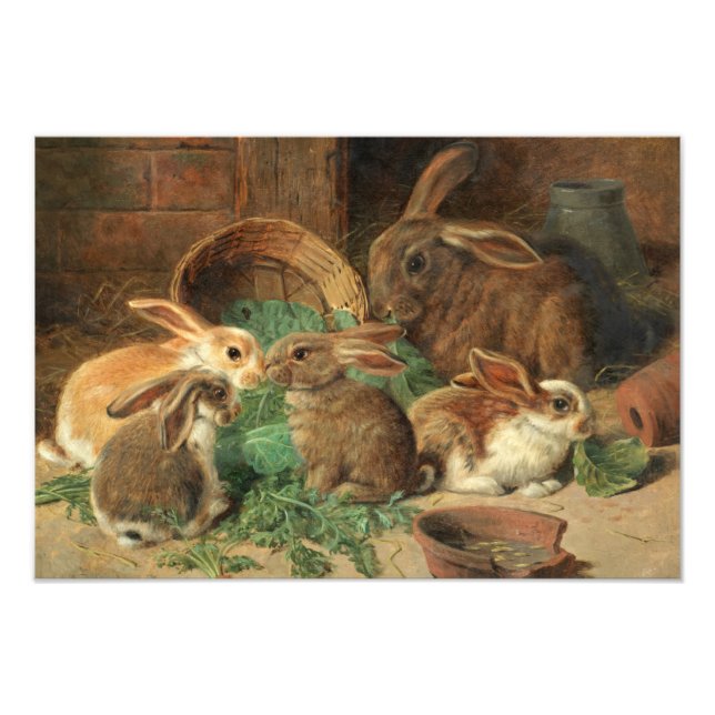 A Mother Rabbit and her Young by Alfred Barber Photo Print (Front)