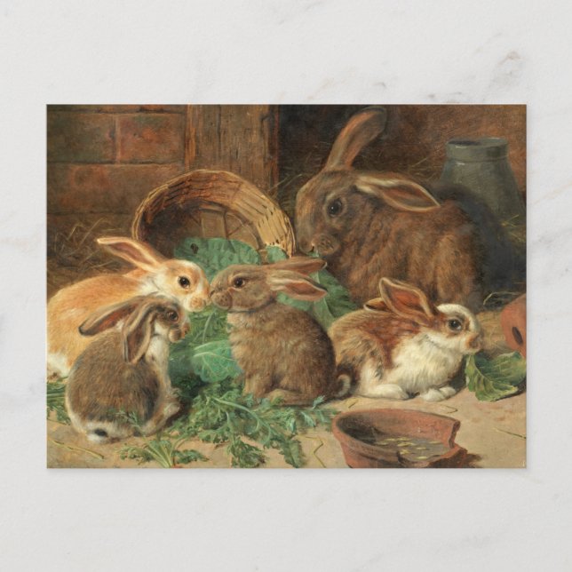 A Mother Rabbit and her Young by Alfred Barber Postcard (Front)