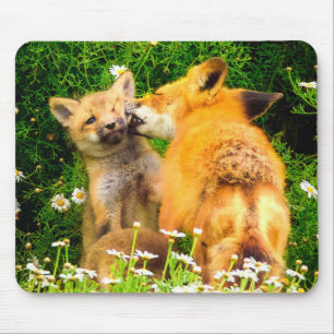 A Mother’s Kiss Wildlife Nature Art Print Mouse Mat