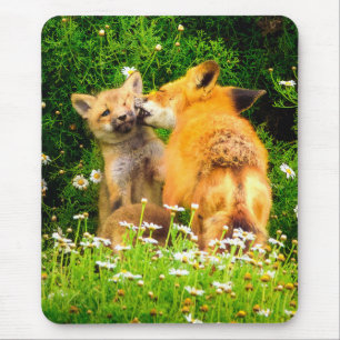 A Mother’s Kiss Wildlife Nature Art Print Mouse Mat