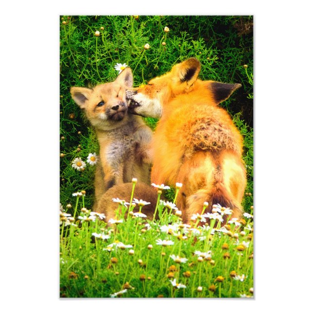 A Mother's Kiss Wildlife Nature Art Print (Front)