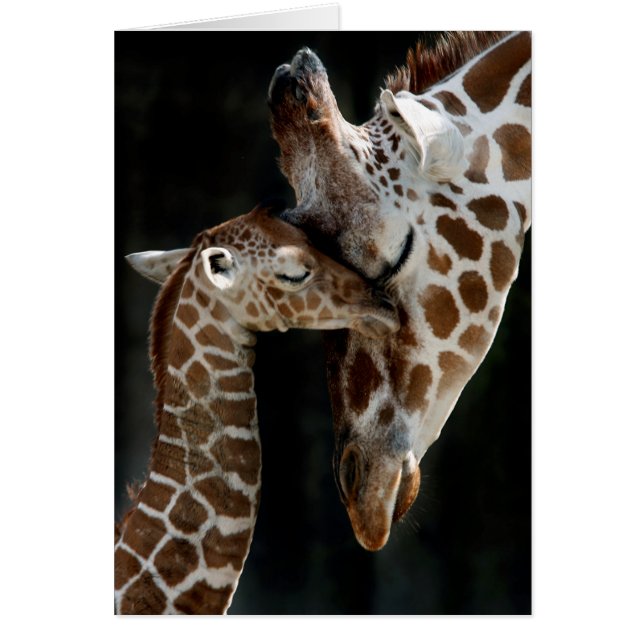 A Mother's Love (Front)