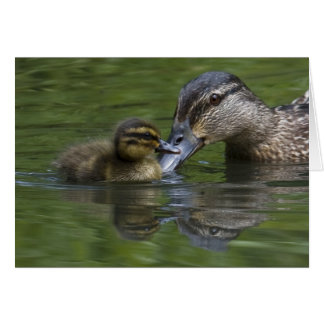 A Mother's Love