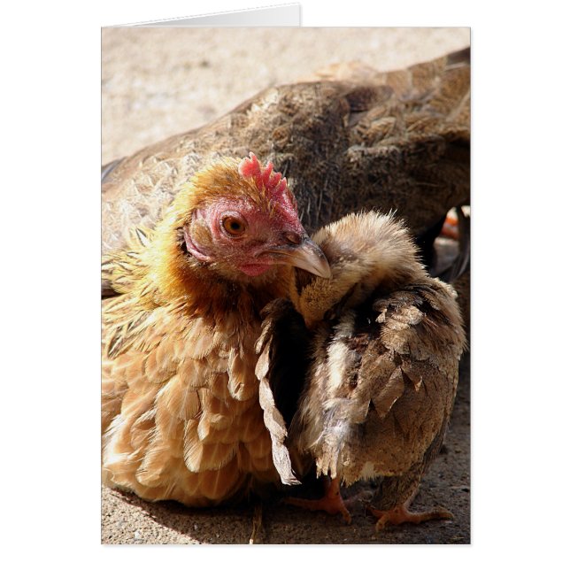 A Mother's Love, All Occasion Blank Greeting Card (Front)