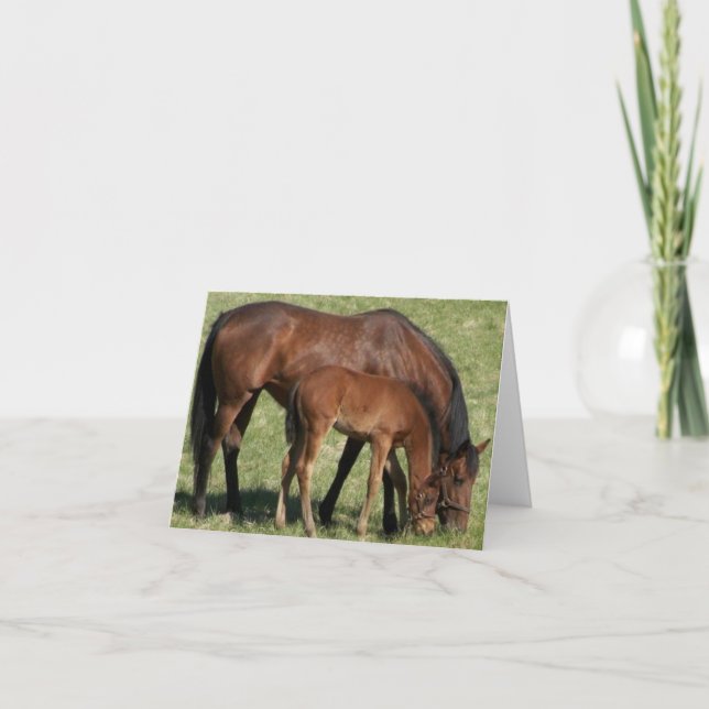 A Mothers Love Card (Front)