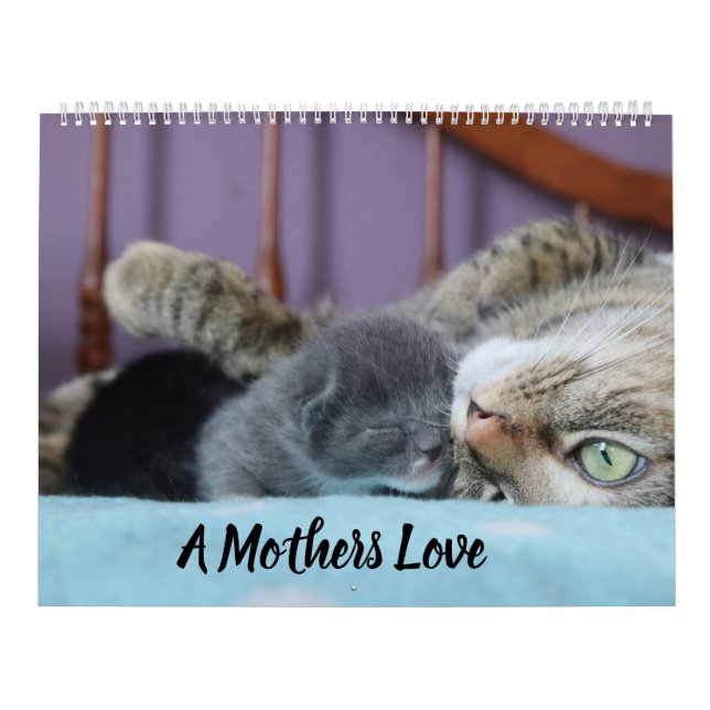 A MOTHERS LOVE MAMACAT & HER KITTENS CALENDAR (Cover)