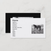 A Mother's Love Mare and Foal Business Card (Front/Back)