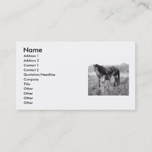 A Mother's Love Mare and Foal Business Card