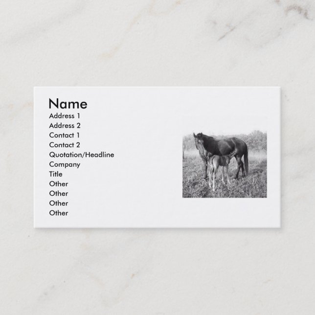 A Mother's Love Mare and Foal Business Card (Front)