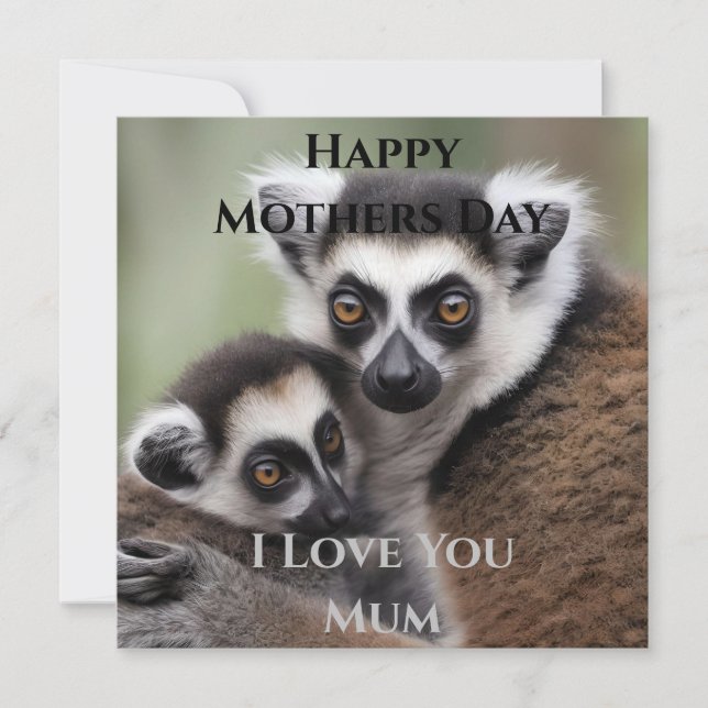 **"A Mother's Love: Mommy and Baby Lemur Cuddling" (Front)