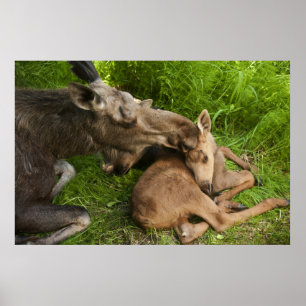 A Mother's Love Poster